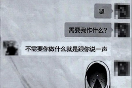 安乡安乡的要账公司在催收过程中的策略和技巧有哪些？